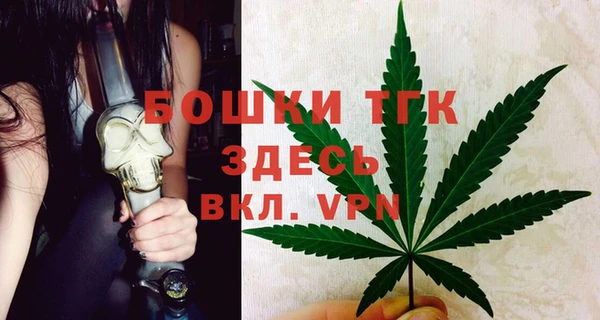 молекула духа Бугульма