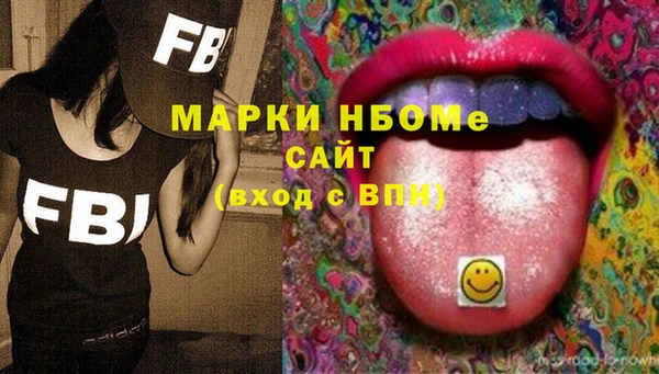 СК Бронницы