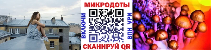 купить наркотик  mega зеркало  нарко площадка телеграм  Ижевск  Галлюциногенные грибы Magic Shrooms 